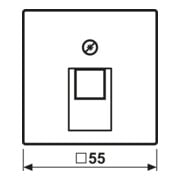 Jung Abdeckung aws für IAE/UAE-Dose A 569-1 PLUA WW-4