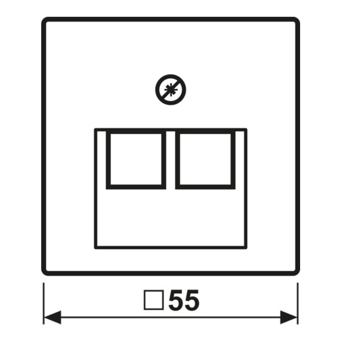 Jung Abdeckung aws für IAE/UAE-Dose A 569-2 BFPLUAWW