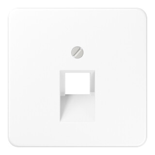 Jung Abdeckung aws für IAE/UAE-Dose CD 569-1 UA WW