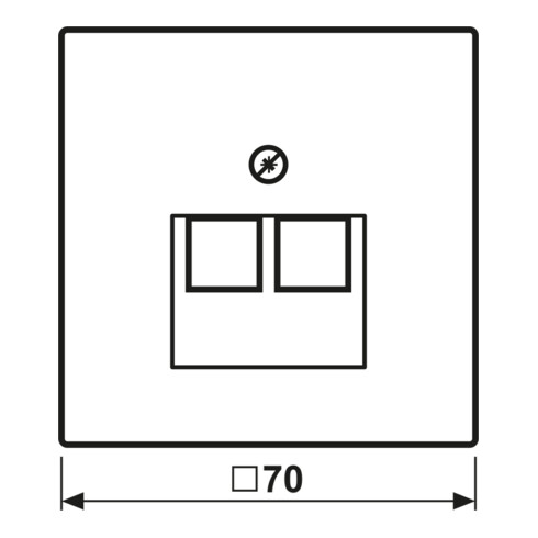 Jung Abdeckung aws für IAE/UAE-Dose LS 969-2 UA WW