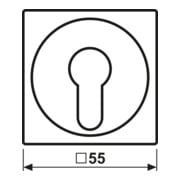 Jung Abdeckung aws für Schlüsselschalt. A 528 PL WW-3