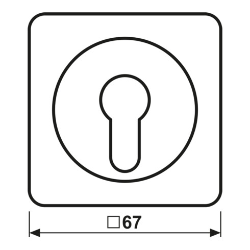 Jung Abdeckung aws für Schlüsselschalt. CD 528 WW