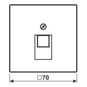 Jung Abdeckung eds für IAE/UAE-Dose ES 2969-1 UA-3