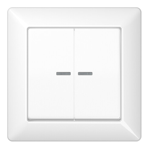 Jung Abdeckung Lichtleiter aws für Taster AS 590-5 KO5 WW