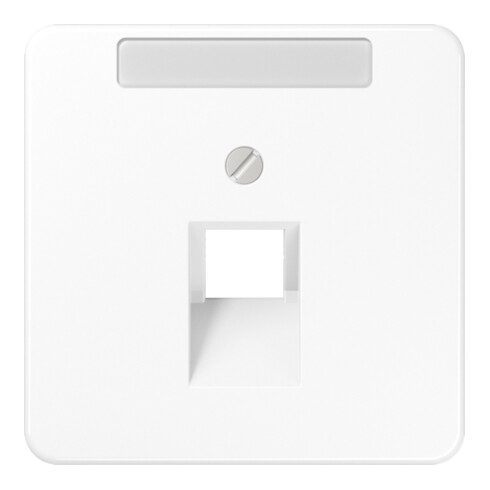 Jung Abdeckung Schriftfeld aws für IAE/UAE-Dose CD 569-1 NAUA WW