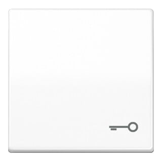 Jung Basculante symbole PORTE aws pour bouton-poussoir AS 591 T WW