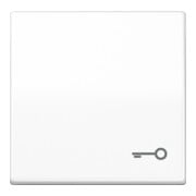 Jung Basculante symbole PORTE aws pour bouton-poussoir AS 591 T WW-1