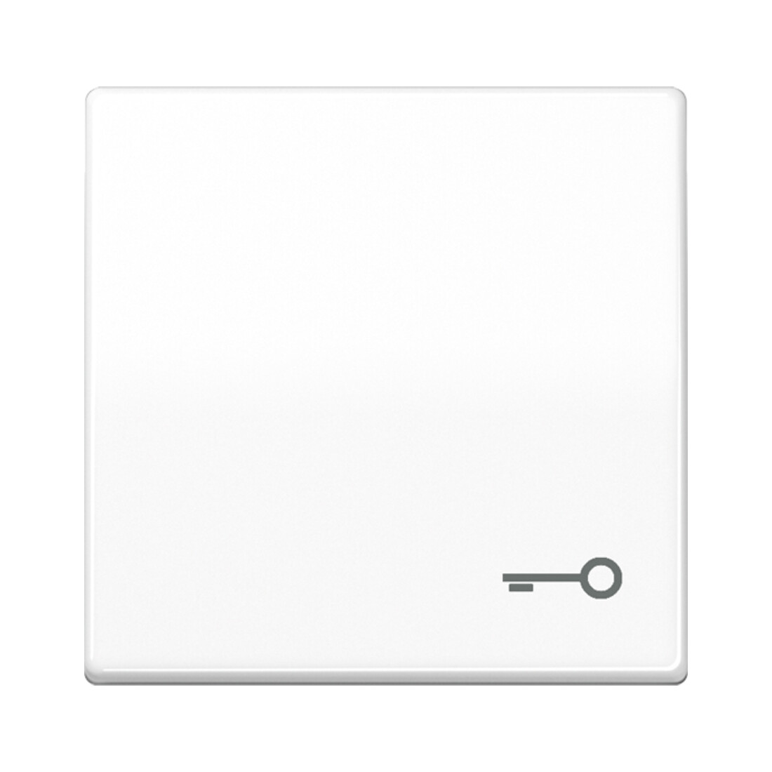 Jung Basculante symbole PORTE aws pour bouton-poussoir AS 591 T WW