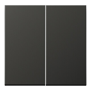 Jung Bascule anthracite pour bouton-poussoir AL 2995 AN