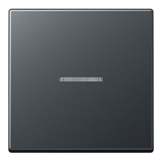 Jung Bascule avec lentille anthracite mat A 590 BF KO5 ANM