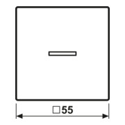 Jung Bascule avec lentille anthracite mat A 590 BF KO5 ANM-3