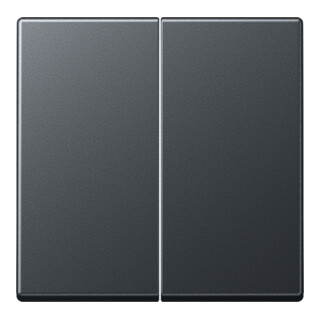 Jung Bascule double anthracite mat A 595 BF ANM