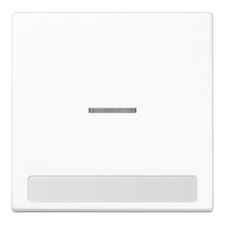 Jung Bascule lumineuse/texte f.aws pour interrupteur/poussoir LS 990 NAKO5 WW