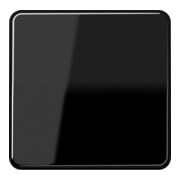 Jung Bascule noire pour bouton-poussoir CD 590-1