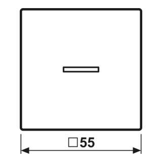 Jung Bascule pour bouton-poussoir KO, flèches A101KO5PWW