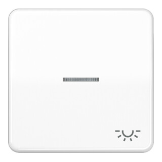 Jung Bascule Sym.LICHT/Lichtl.aw pour bouton-poussoir éclairé CD 590 KO5L WW