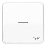 Jung Bascule Sym.LICHT/Lichtl.aw pour bouton-poussoir éclairé CD 590 KO5L WW-1