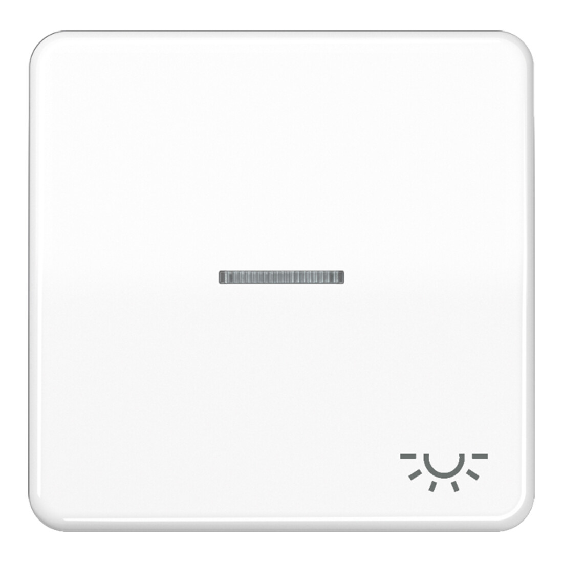 Jung Bascule Sym.LICHT/Lichtl.aw pour bouton-poussoir éclairé CD 590 KO5L WW