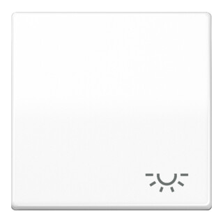 Jung Bascule symbole LUMIÈRE aws pour bouton-poussoir AS 591 L WW