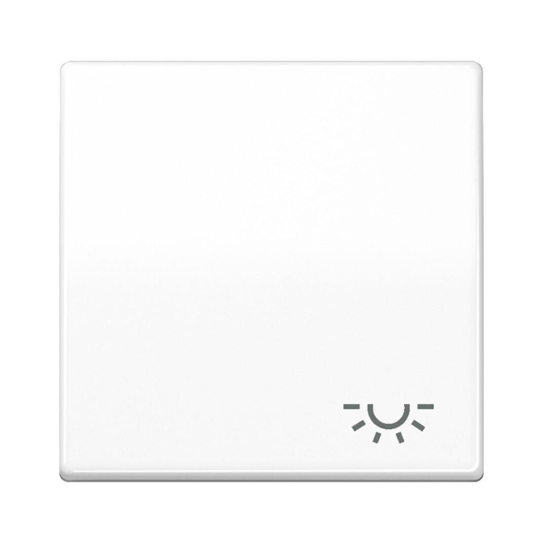 Jung Bascule symbole LUMIÈRE aws pour bouton-poussoir AS 591 L WW