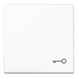 Jung Bascule symbole PORTE aws pour bouton-poussoir A 590 T WW