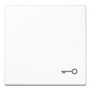 Jung Bascule symbole PORTE aws pour bouton-poussoir A 590 T WW-1