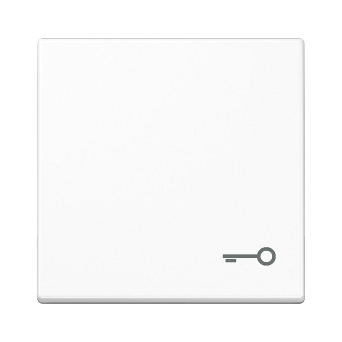 Jung Bascule symbole PORTE aws pour bouton-poussoir A 590 T WW