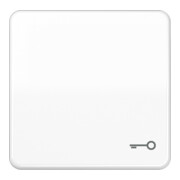 Jung Bascule Symbole PORTE aws pour bouton-poussoir CD 590 T WW-1