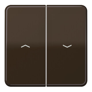 Jung Bascule Symboles br pour bouton-poussoir CD 595 P