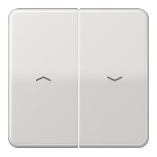 Jung Bascule symboles lgr pour bouton-poussoir CD 595 P LG