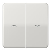 Jung Bascule symboles lgr pour bouton-poussoir CD 595 P LG-1