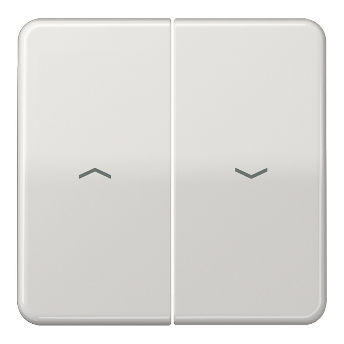 Jung Bascule symboles lgr pour bouton-poussoir CD 595 P LG