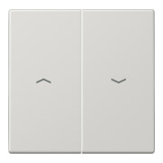 Jung Bascule symboles lgr pour bouton-poussoir LS 995 P LG-1