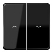 Jung Bascule symboles noir et blanc pour bouton-poussoir CD 595 P-1