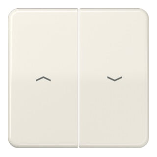 Jung Bascule symboles ws pour bouton-poussoir CD 595 P