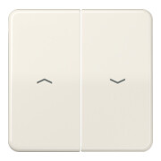 Jung Bascule symboles ws pour bouton-poussoir CD 595 P-1