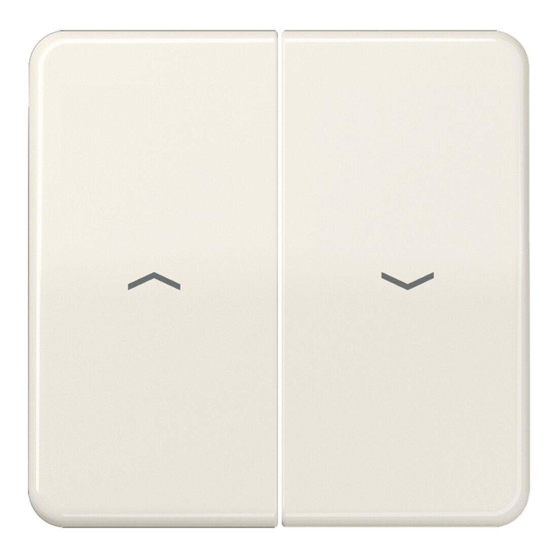 Jung Bascule symboles ws pour bouton-poussoir CD 595 P