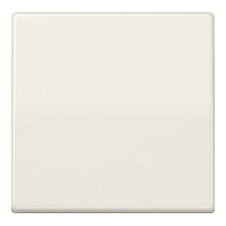 Jung Bascule ws pour interrupteur/poussoir AS 591 BF