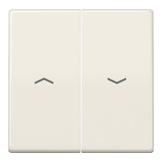Jung Bascules symboles ws pour bouton-poussoir AS 591-5 P