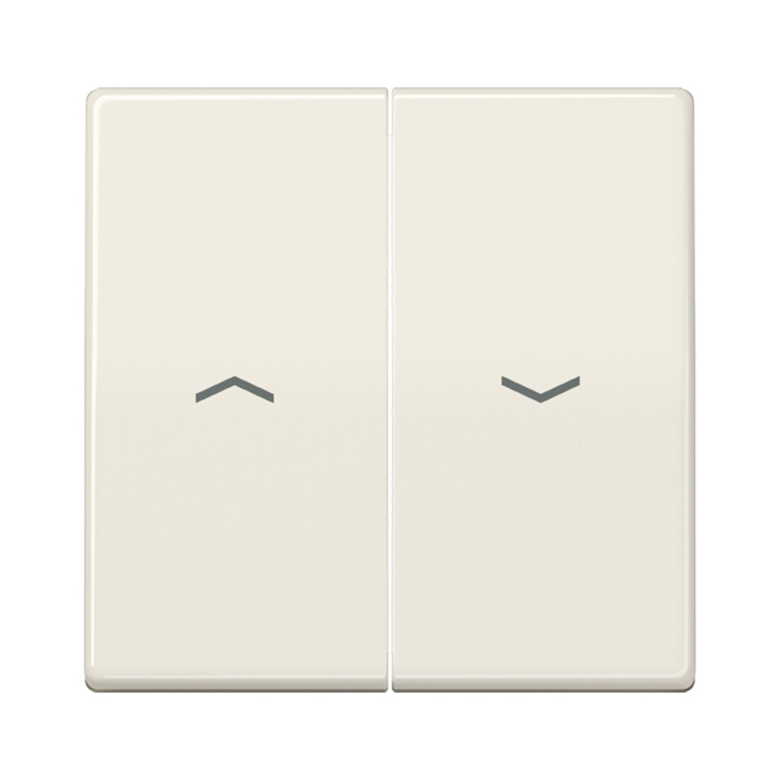 Jung Bascules symboles ws pour bouton-poussoir AS 591-5 P