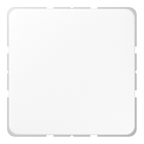 Jung Blind-Abdeckung aws kompl.mit Tragring CD 594-0 WW