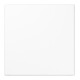 Jung Blind-Abdeckung aws kompl.mit Tragring LS 994 B WW-1