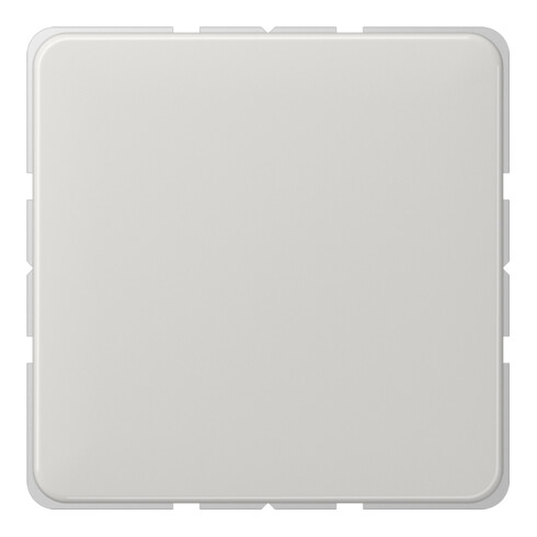 Jung Blind-Abdeckung lgr kompl.mit Tragring CD 594-0 LG