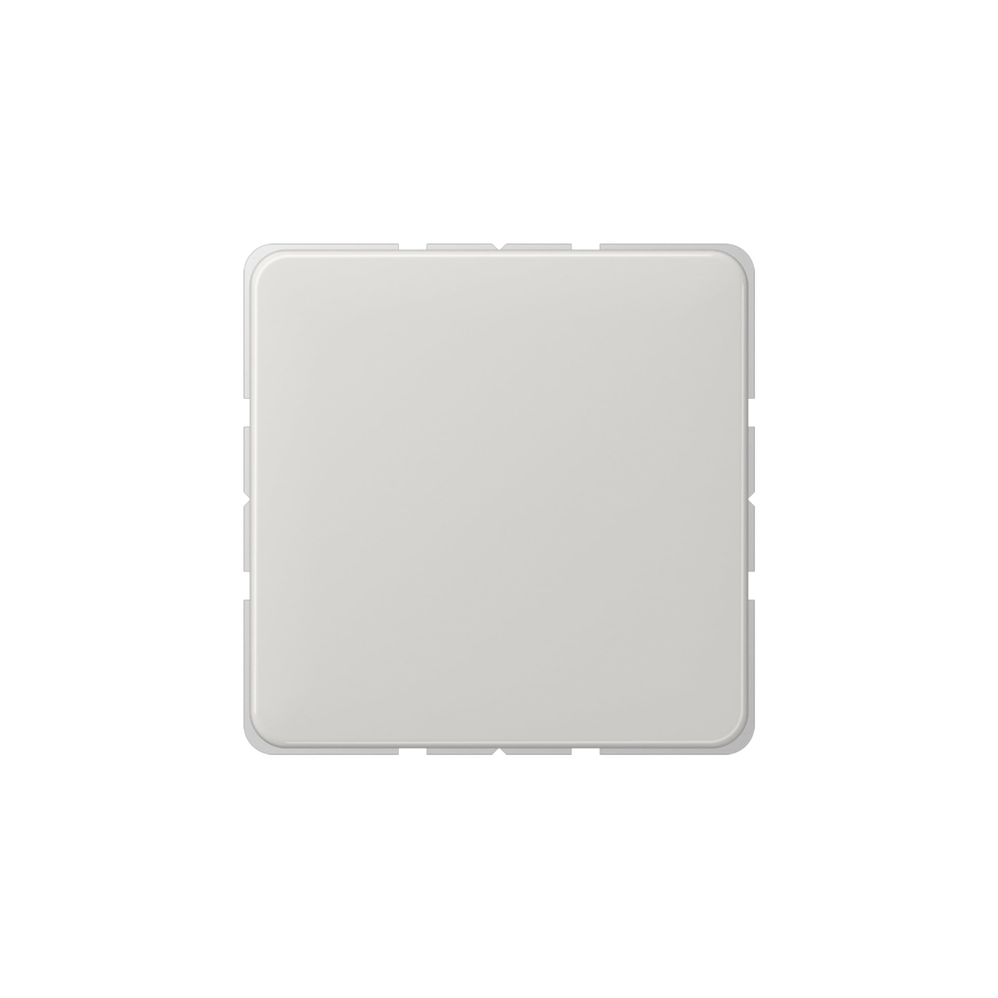 Jung Blind-Abdeckung lgr kompl.mit Tragring CD 594-0 LG
