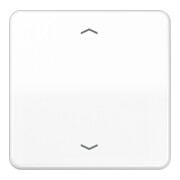 Jung Bouton de commande Standard Symboles Flèches CD 1700 P WW-1