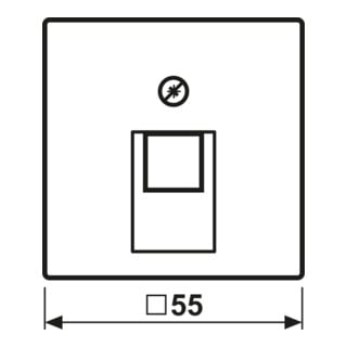 Jung Cache A 569-1 PLUA noir pour prise IAE/UAE