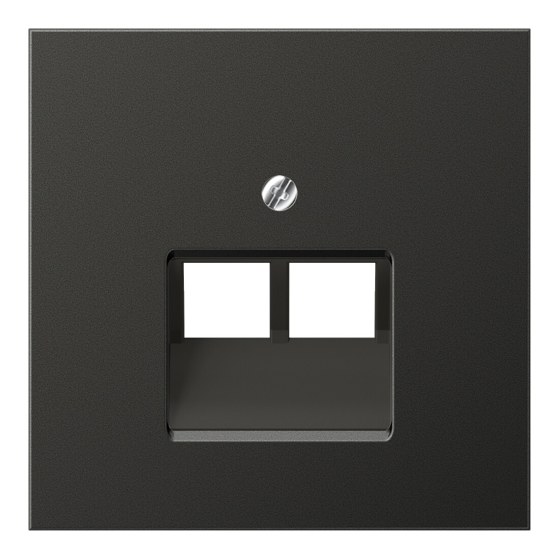 Jung Cache anthracite pour prise IAE/UAE AL 2969-2 UA AN