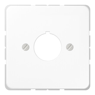 Jung Cache aws pour appareils de commande CD 564 WW