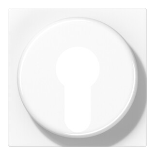 Jung Cache aws pour interrupteur à clé A 528 PL WW