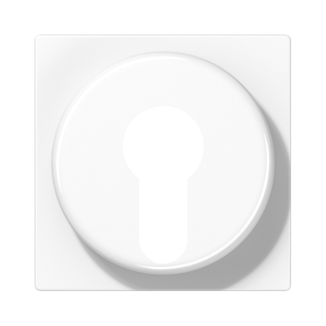 Jung Cache aws pour interrupteur à clé A 528 PL WW